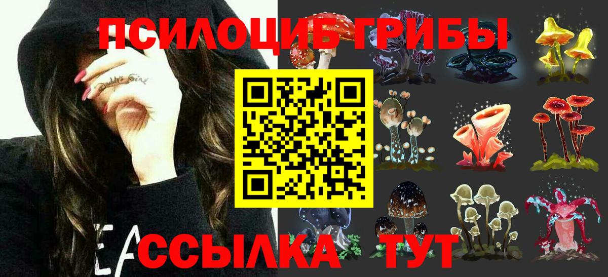 Псилоцибиновые грибы мицелий Удомля