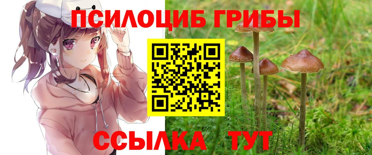 Галлюциногенные грибы MAGIC MUSHROOMS  Псилоцибиновые грибы мицелий  Удомля  Вход с VPN 